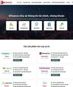 Theme wordpress dịch vụ tài chính 01